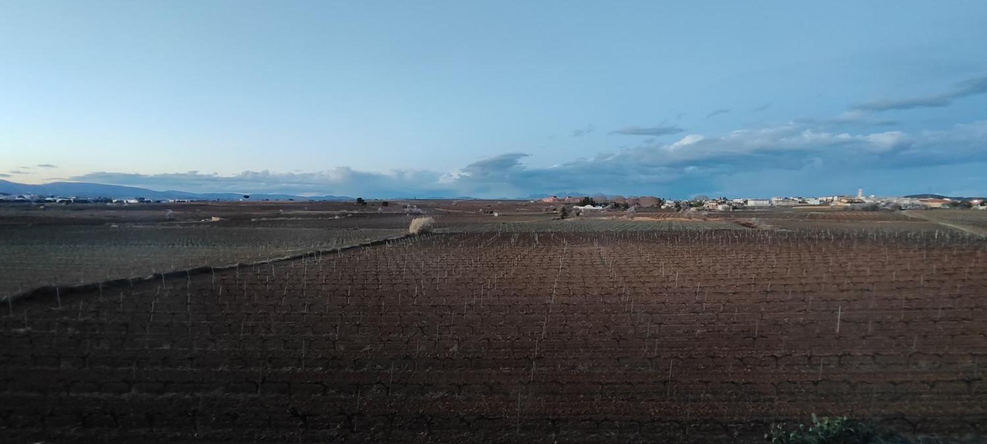 Villa Cal Llop Sant Cugat de Sesgarrigues Esterno foto